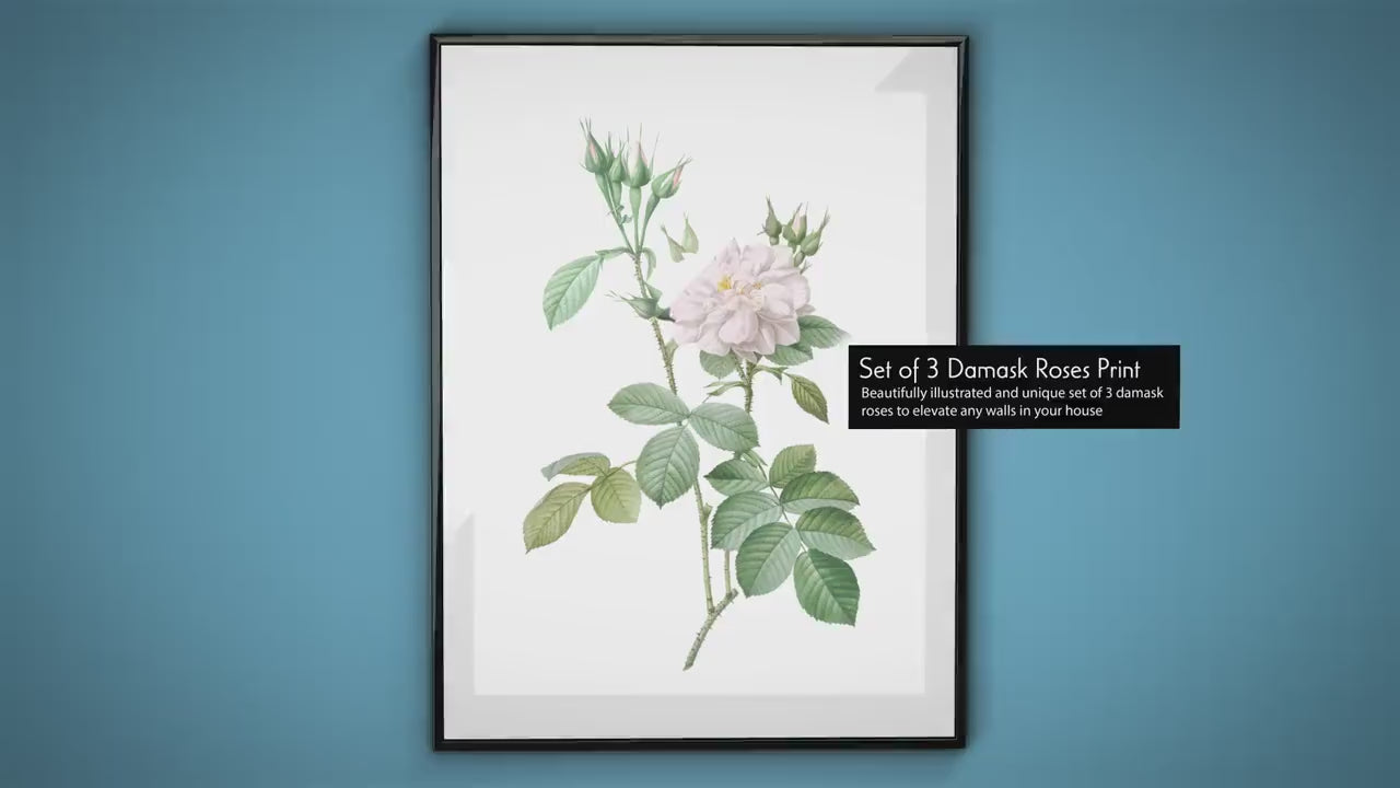 Set of 3 Flowers Prints – Roses wall art, Damask roses, Neutral prints for wall, Bedroom wall prints, Gift for mum, Housewarming gift idea